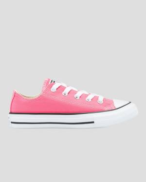 Zapatillas Bajas Converse Chuck Taylor All Star Seasonal Colour Rosas | CV-153XQW