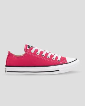 Zapatillas Bajas Converse Chuck Taylor All Star Seasonal Colour Rosas | CV-683PZY