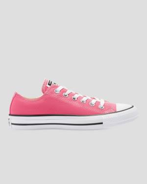 Zapatillas Bajas Converse Chuck Taylor All Star Seasonal Colour Rosas | CV-713FNW