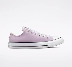 Zapatillas Bajas Converse Chuck Taylor All Star Seasonal Color Lavanda | CV-794UEB