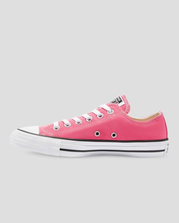 Zapatillas Bajas Converse Chuck Taylor All Star Seasonal Colour Rosas | CV-713FNW